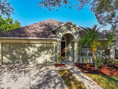 9830 White Barn Way, Riverview, FL, 33569