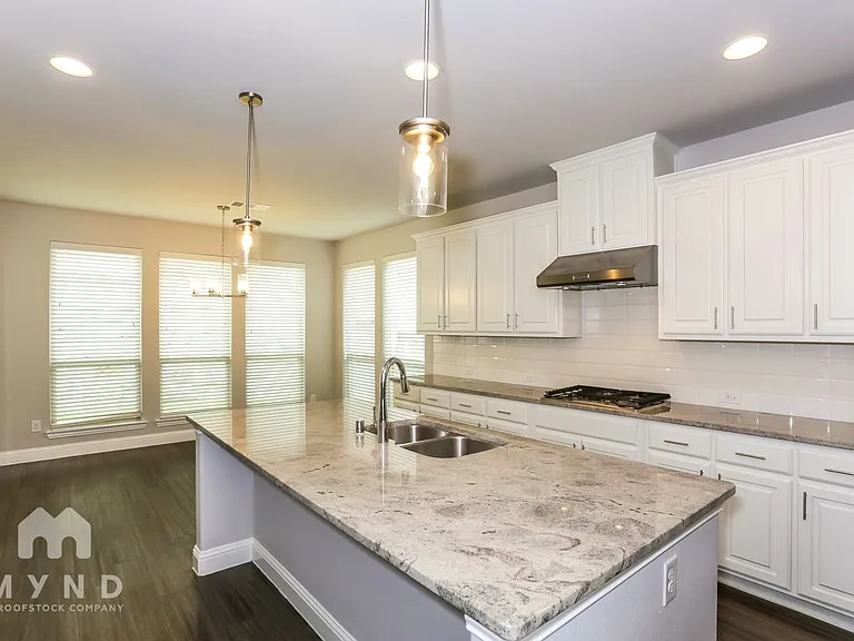 3113 Damsel Sauvage Ln — Photo 12