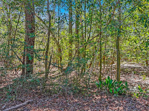 2nd image of Cedar Log Lake Rd