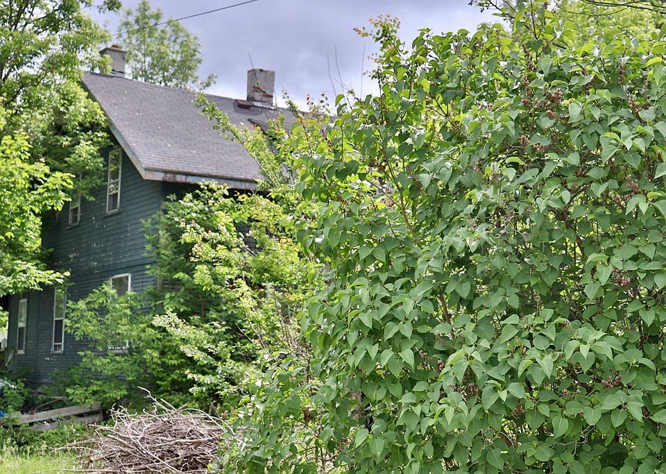 40 Saranac St, Lyon Mountain, NY 12952 Zillow