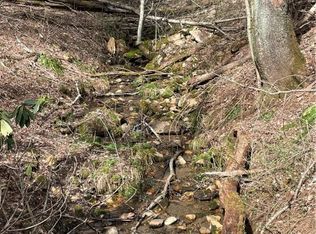 State Highway 18 S, Sparta, NC 28675