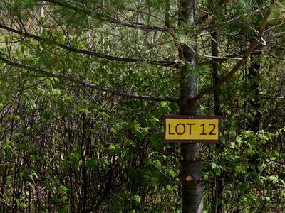 ON Lyannas Rd, Lake Tomahawk, WI, 54539