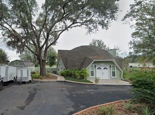 10424 Lyons Ave, Lithia, FL 33547