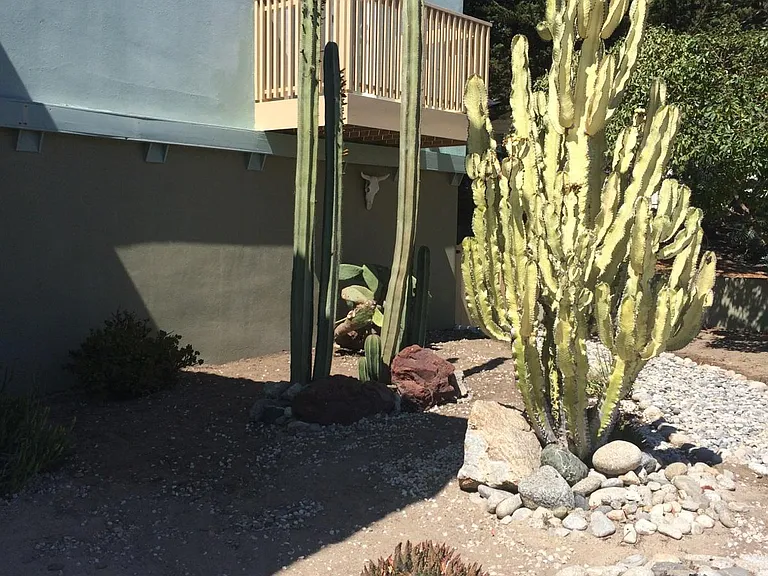 217 Dunecrest Ave #8 — Photo 2