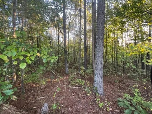 1 Corinth Five Points Rd #5, Buchanan, GA 30113