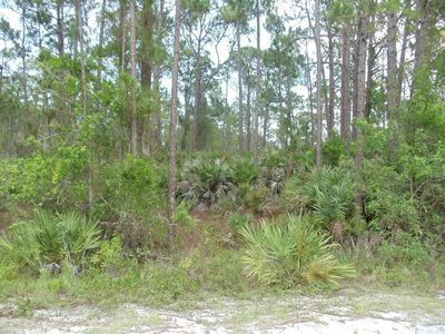 Tba Slash Pine Trail, Fort Pierce, FL, 34951