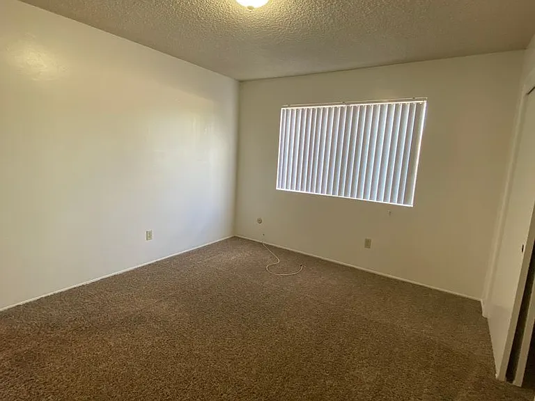 2540 Olive St — Photo 9