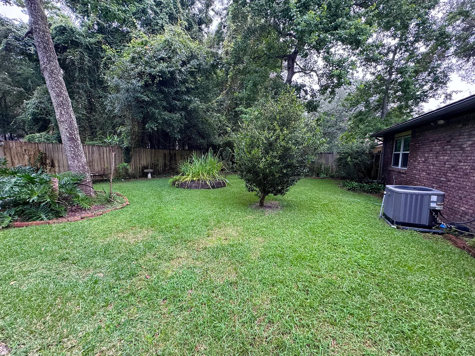 3 bed, 1567 sqft, $2,200 — Photo 3