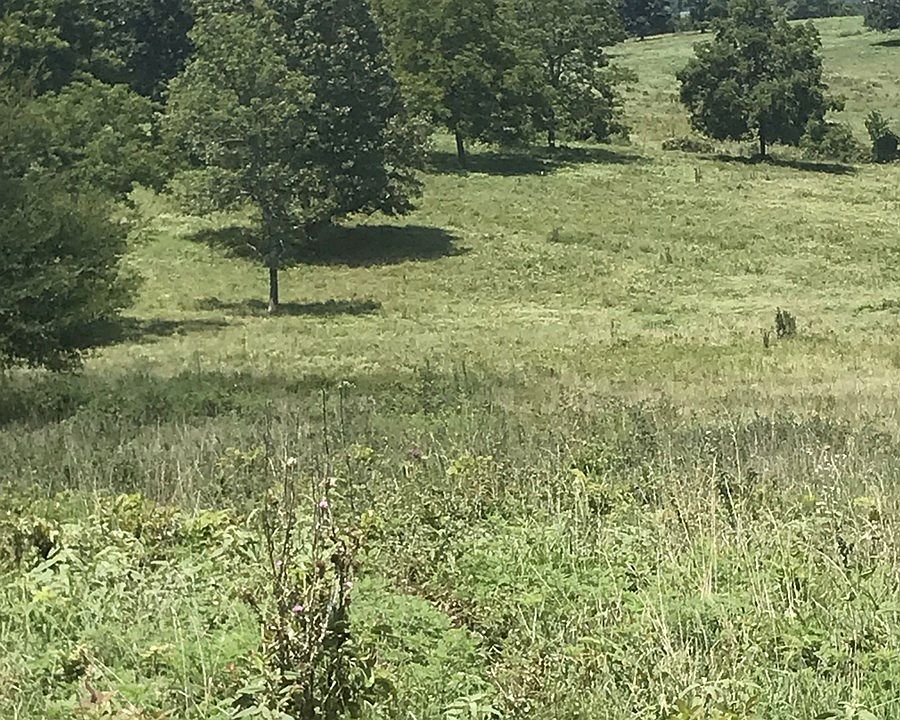 Maynard, Maynard, AR 72444 Zillow