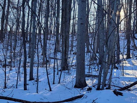 4th image of Barrett Ln