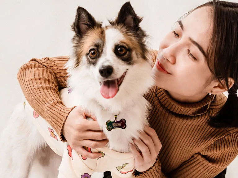 Dog Friendly