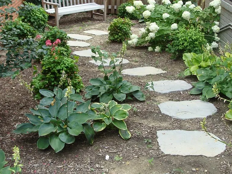 Interior garden