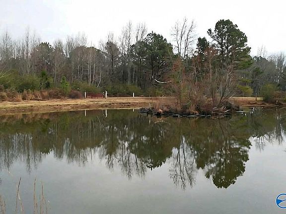 2nd image of County Road 1069
