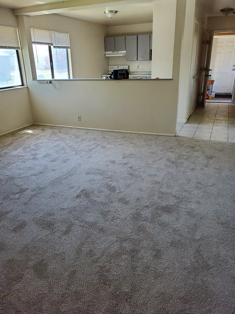 2 bed, 900 sqft, $1,195 — Photo 2