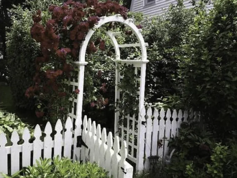 Side of house rose arbor leads to back yard.