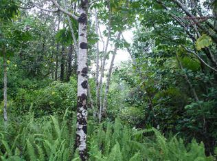 15-1008 Kilika Rd LOT 239, Keaau, HI 96749