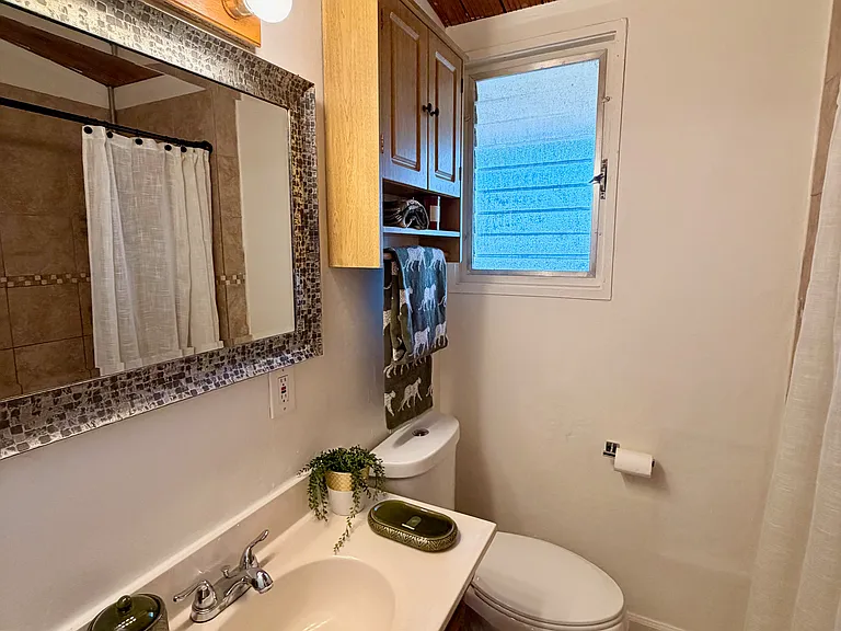 Hallway bathroom #2