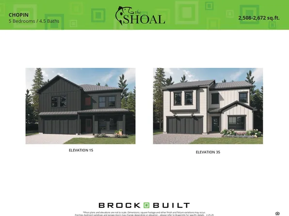 Chopin Plan, The Shoal