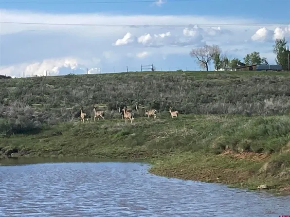 29998 Highway 184, Dolores, CO 81323