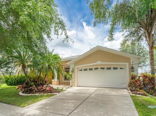 4323 Balington Dr, Valrico, FL 33596