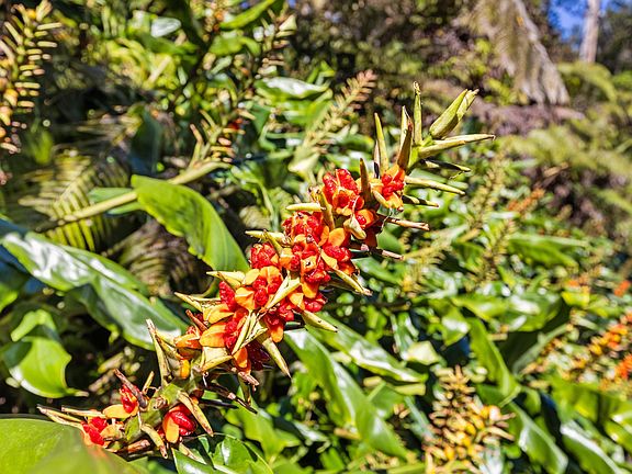 5th image of Kilinoe St Lot 28