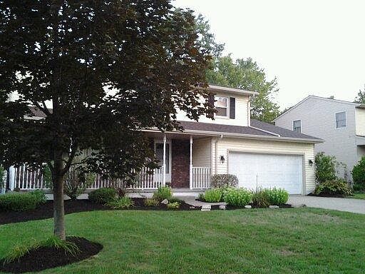 3rd image of 488 Wolf Ave
