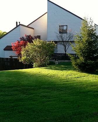 2nd image of 101 Woburn Dr