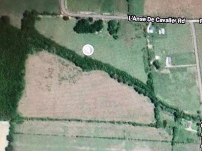 407 L Anse De Cavalier Rd, Ville Platte, LA, 70586