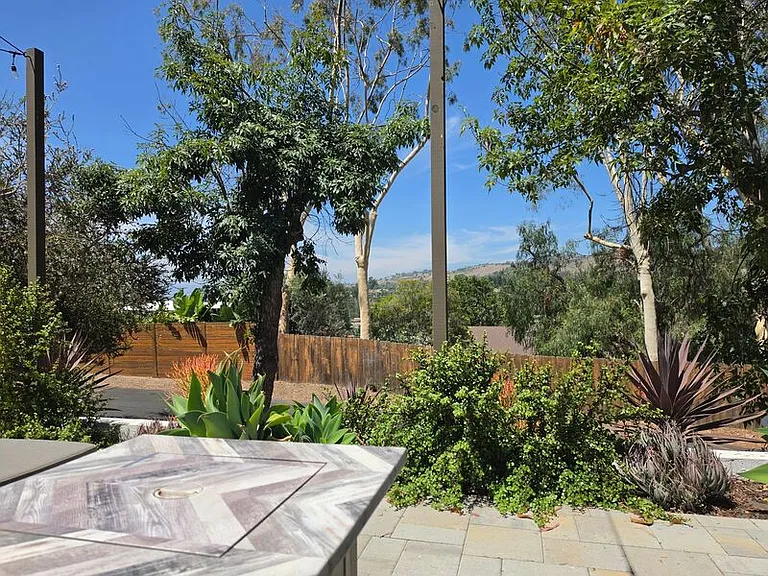 31292 Ysidora St — Photo 9