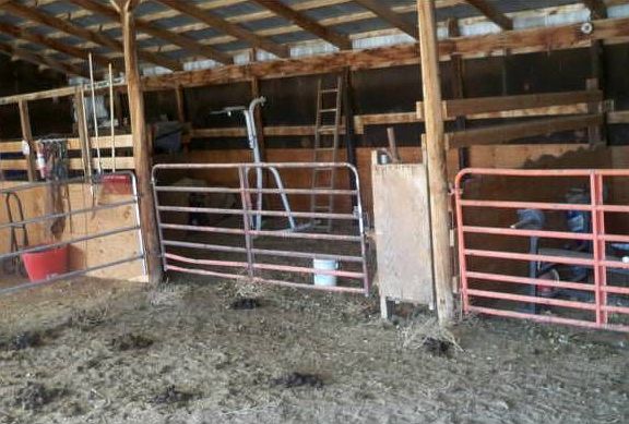Barn Stalls