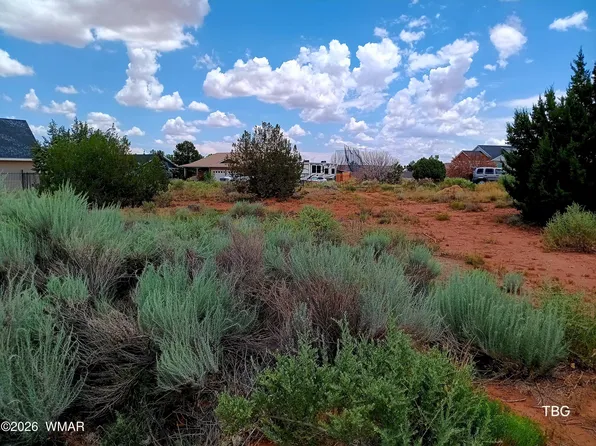 96 N Lyon Gate Dr, Snowflake, AZ 85937