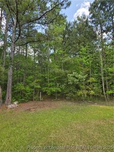 Fire Tower Ln, Raeford, NC, 28376