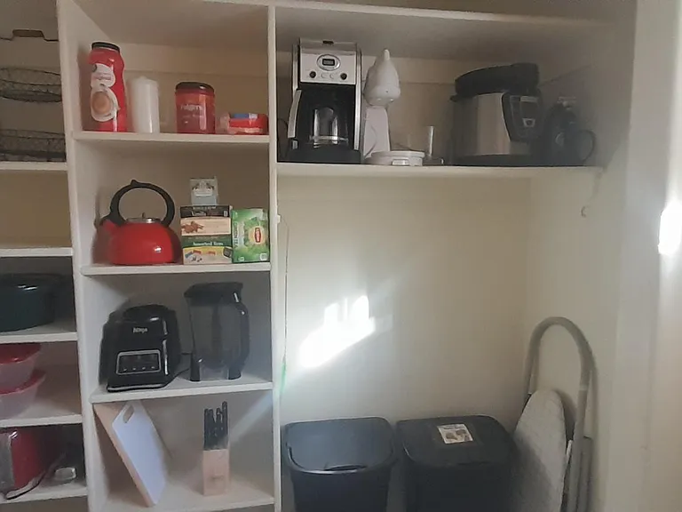 Pantry shelves. Ironing board, garbage and recycle cans.