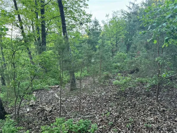 1181 Jewel Ct NE #1181, Ranger, GA 30734