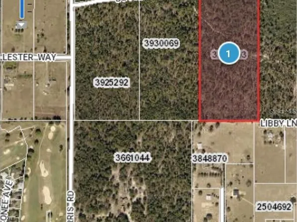 25233 Butterbean Ln, Eustis, FL 32736