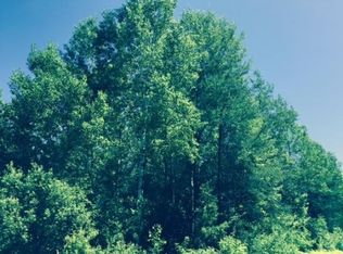 N Branch Rd, Suring, WI 54174