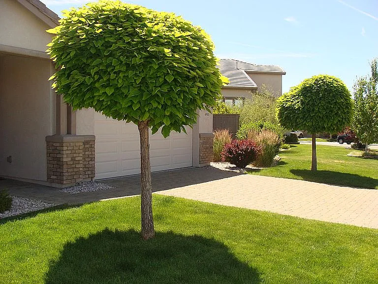 6950 Bannister Rd — Photo 37