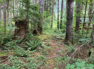 51627 Skyko Dr, Index, WA 98256