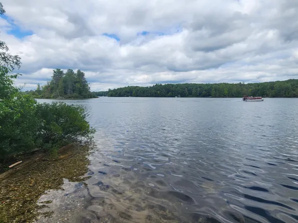 8593 N Homestead Cir, Irons, MI 49644