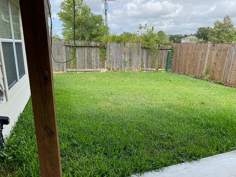 2818 Orchid Tree Ln — Photo 21