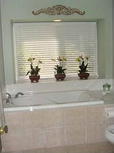 Master jacuzzi tub