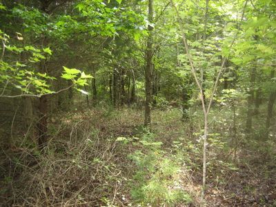 Austin Rd, Belton, SC, 29627