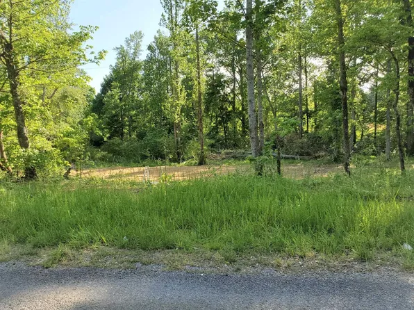 0 County Road 208, Crane Hill, AL 35053