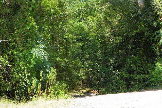 2nd image of 1426 Old Swamp Rd