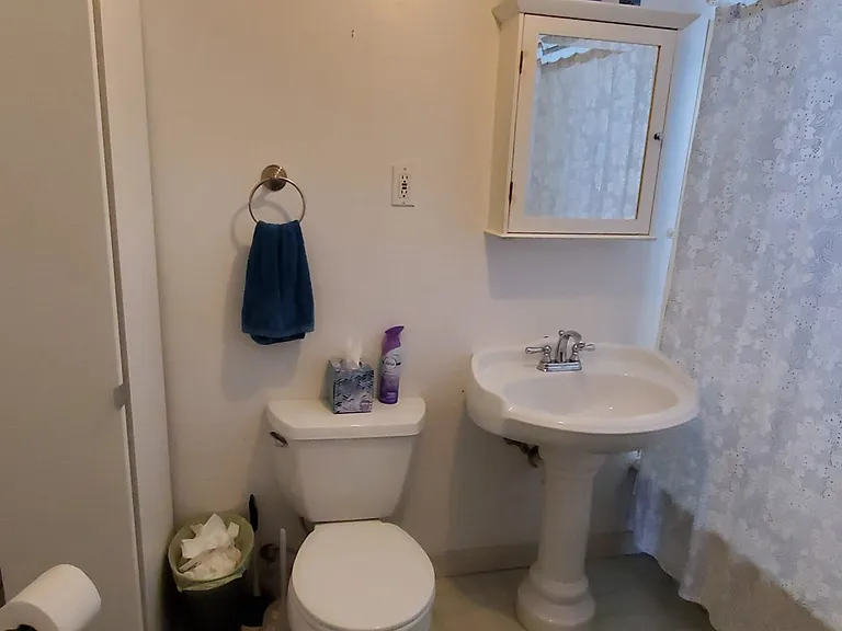 17 Bigelow St #2 — Photo 16