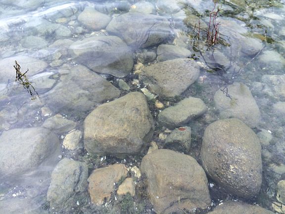 4th image of 0 E Ingalls Bay Road #41