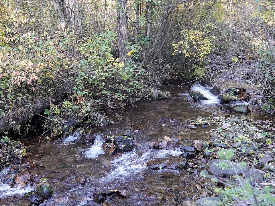 2851 Arneguy Ln, Arlee, MT 59821 Zillow