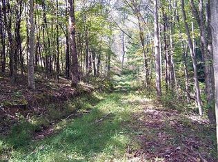 144 Wallace Rd, Wallace, WV 26448