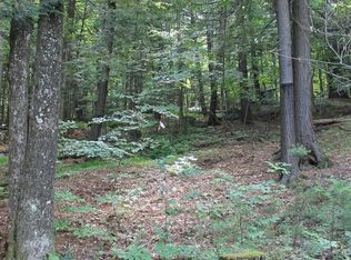 0 N Reber Rd, Lewis, NY 12950