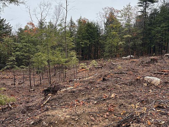 4th image of 9 Sugarloaf Drive #9